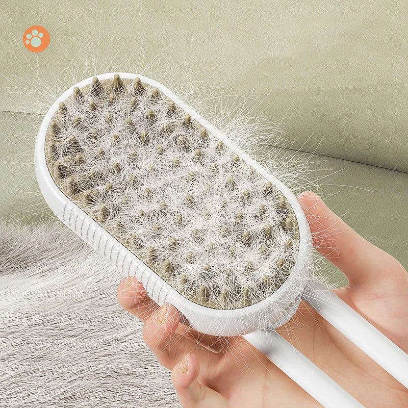 SteamGroom Pro